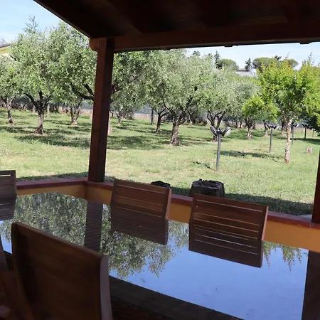 A Casa Di Chicca Σπίτι διακοπών Massarosa